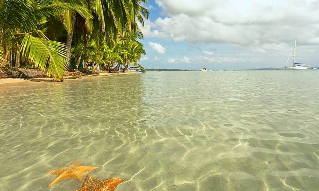 Starfish in the shallow crystal-clear waters of Playa Estrella